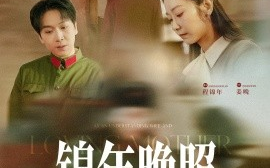 短剧《锦年晚照（88集）姜昊旻&孟嘉鑫 (2025)》全集免费在线观看