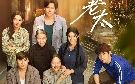 短剧《怼天怼地黄老太（60集）赵健&陈洁 (2025)》全集免费在线观看