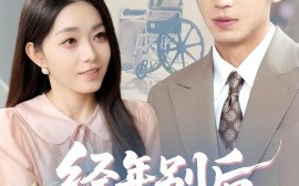 短剧《经年别后梦未休（85集）李泉成&李冰冰 (2025)》全集免费在线观看 