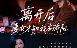 短剧《离开后妻女才知我本骄阳（112集）言亿迦&诗媛&刘美一&夕然&杨文迪 (2025)》全集免费在线观看