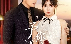 短剧《予你逃离（60集）白一翔&时一 (2025)》全集免费在线观看