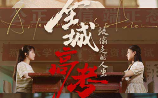 短剧《全城高考之被偷走的人生（60集全）》免费观看