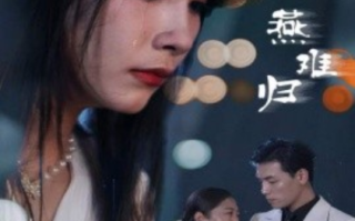 短剧《燕南飞，燕难归（31集全）》免费观看