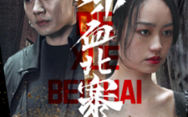短剧《喋血北寨 (2025)》全集免费在线观看