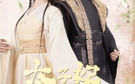 短剧《太子妃的休夫大业（84集）赵慕颜&林潇 (2025)》全集免费在线观看