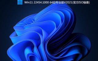 Win11 22458.1000 下载_Win11 22458.1000 64位专业版(原版ISO镜像)