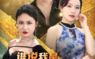 短剧《谁说我是穷小子（71集全）李苗苗&梦丹》免费观看