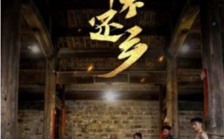 短剧《衣锦不还乡（69集全）》免费观看