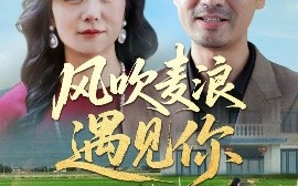 短剧《风吹麦浪遇见你（60集）李易泽&李晓 (2025)》全集免费在线观看