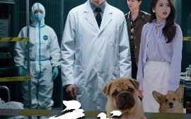 短剧《病犬危机（68集）张浩南&彭娜莎 (2025)》全集免费在线观看