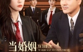 短剧《当婚姻站上被告席（30集）刘林&刘涵飞 (2025)》全集免费在线观看 