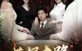 短剧《草根之路 (2025)》全集免费在线观看