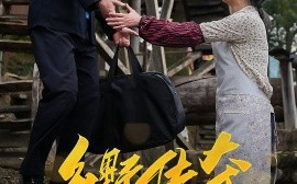 短剧《乡野传奇，谁说他平凡 (2025)》全集免费在线观看