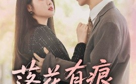 短剧《落花有痕犹带泪（55集）赵宏伟&张幸运 (2025)》全集免费在线观看