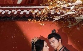 短剧《梦向楼心灯火归 (2025)》全集免费在线观看