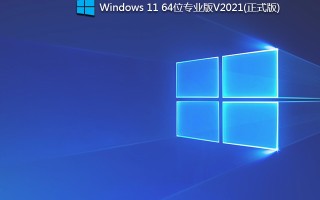 Windows11专业版下载_Windows11优化精简版(22000.194正式版)