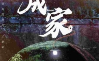 短剧《成家（58集全）》免费观看