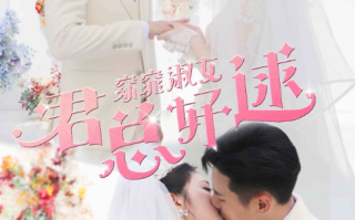 短剧《窈窕淑女，君总好逑（85集全）》免费观看