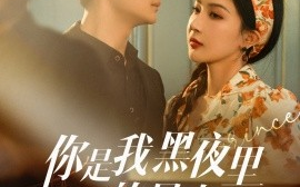 短剧《你是我黑夜里的星光（80集）王家霖＆初五 (2025)》全集免费在线观看