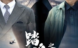 短剧《踏浪重生之渔港旧梦 (2025)》全集免费在线观看