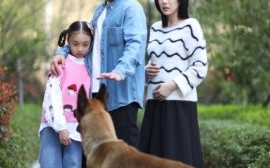 短剧《养狗应有道（60集）(2025)》全集免费在线观看