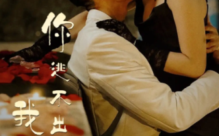 短剧《你逃不出我的手掌心（88集全）》免费观看