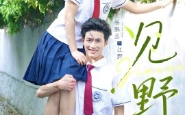 短剧《见野（79集）杨鹏丞＆翟一莹 (2025)》全集免费在线观看