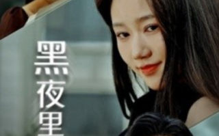 短剧《黑夜里的光（43集全）岳雨婷》免费观看