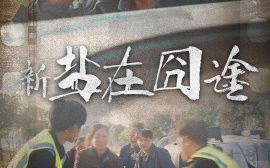 短剧《新：盐在囧途 (2025)》全集免费在线观看