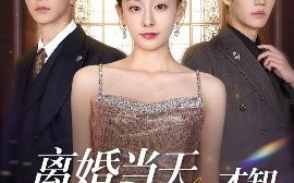 短剧《离婚当天，才知心机死对头暗恋我十年（90集）鞠可儿&刘承林 (2025)》全集免费在线观看 