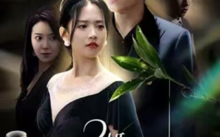 短剧《2婚光芒万丈（80集全）》免费观看