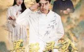 短剧《墨眼寻珍 (2025)》全集免费在线观看