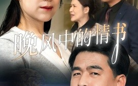 短剧《晚风中的情书（38集）韩佳倪&赵海丰 (2025)》全集免费在线观看