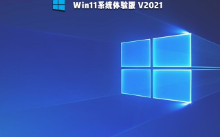 Win11体验版_Win11系统英文预览版 64位下载