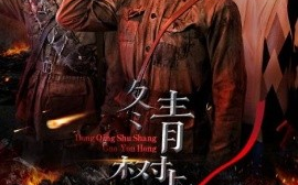 短剧《冬青树上果犹红（9集）张懋&夏天琪 (2025)》全集免费在线观看