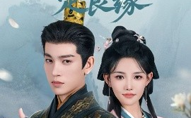 短剧《一纸婚书定良缘（106集）王嘉懋＆常丹丹 (2025)》全集免费在线观看