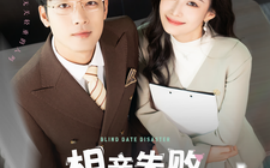 短剧《相亲失败，我和顶头上司领证了 (2025)》全集免费在线观看