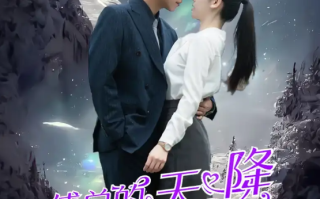 短剧《傅总的天降太子妃（86集全）》免费观看