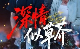 短剧《深情似草芥（51集）源鑫&王瀚迎 (2025)》全集免费在线观看