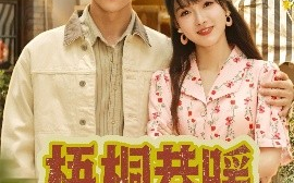 短剧《梧桐巷暖（61集）杨帆&李俊杰 (2025)》全集免费在线观看 
