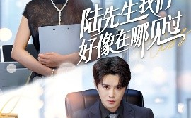 短剧《陆先生我们好像在哪见过（70集）刘美伦&曲曦晨 (2025)》全集免费在线观看
