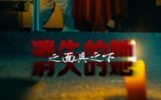 短剧《消失的她之面具之下（86集全）》免费观看