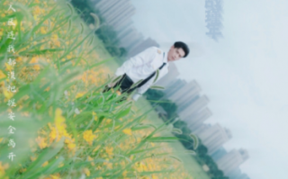 短剧《长风散尽终遇你（37集全）》免费观看