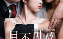 短剧《目不可及 (2025)》全集免费在线观看