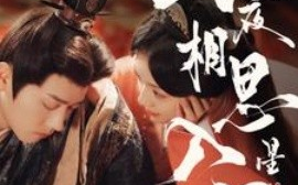 短剧《长夜相思入星河 (2025)》全集免费在线观看