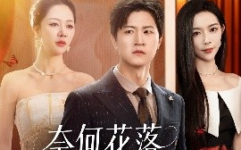 短剧《奈何花落爱凋零（71集）钟莹玲&王鹏 (2025)》全集免费在线观看