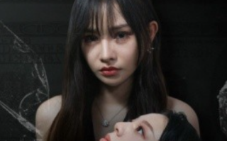 短剧《黑暗荣耀之夫妻的世界（30集全）》免费观看