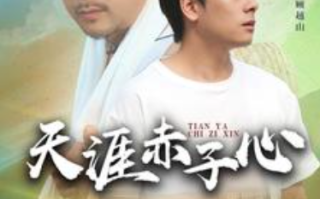 短剧《天涯赤子心（60集全）》免费观看