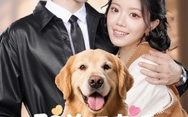 短剧《驭兽师直播听动物心声吃瓜破案（73集）钟雨瑾&王铮睿 (2025)》全集免费在线观看 