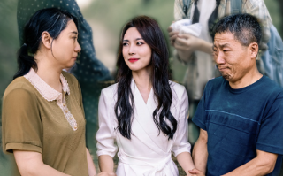 短剧《与凤行之女状元（25集全）苏寰》免费观看